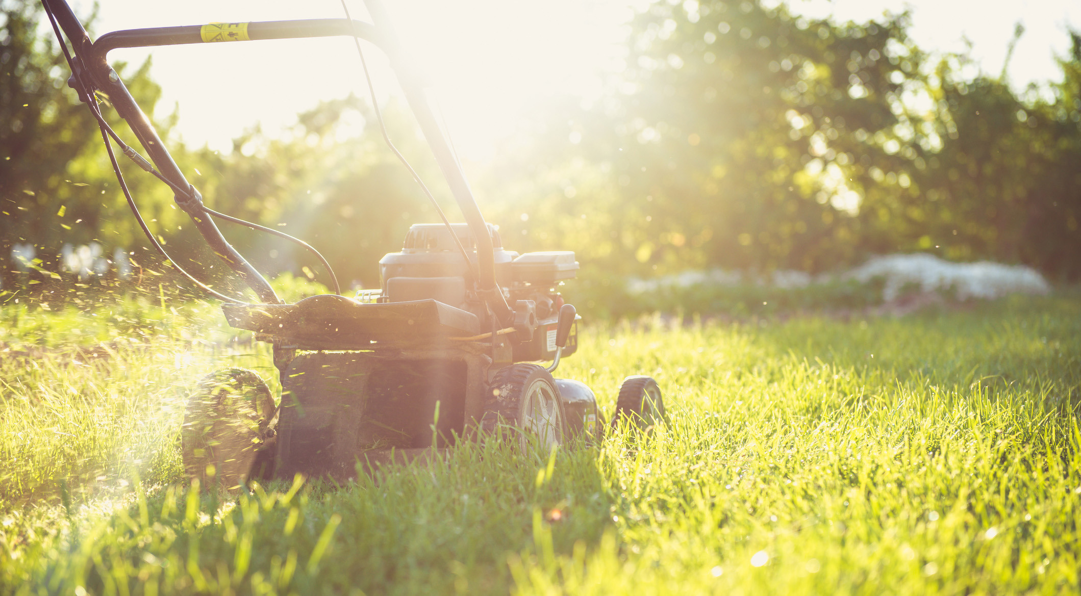 Jardinage et bricolage : on pense à ses voisins !