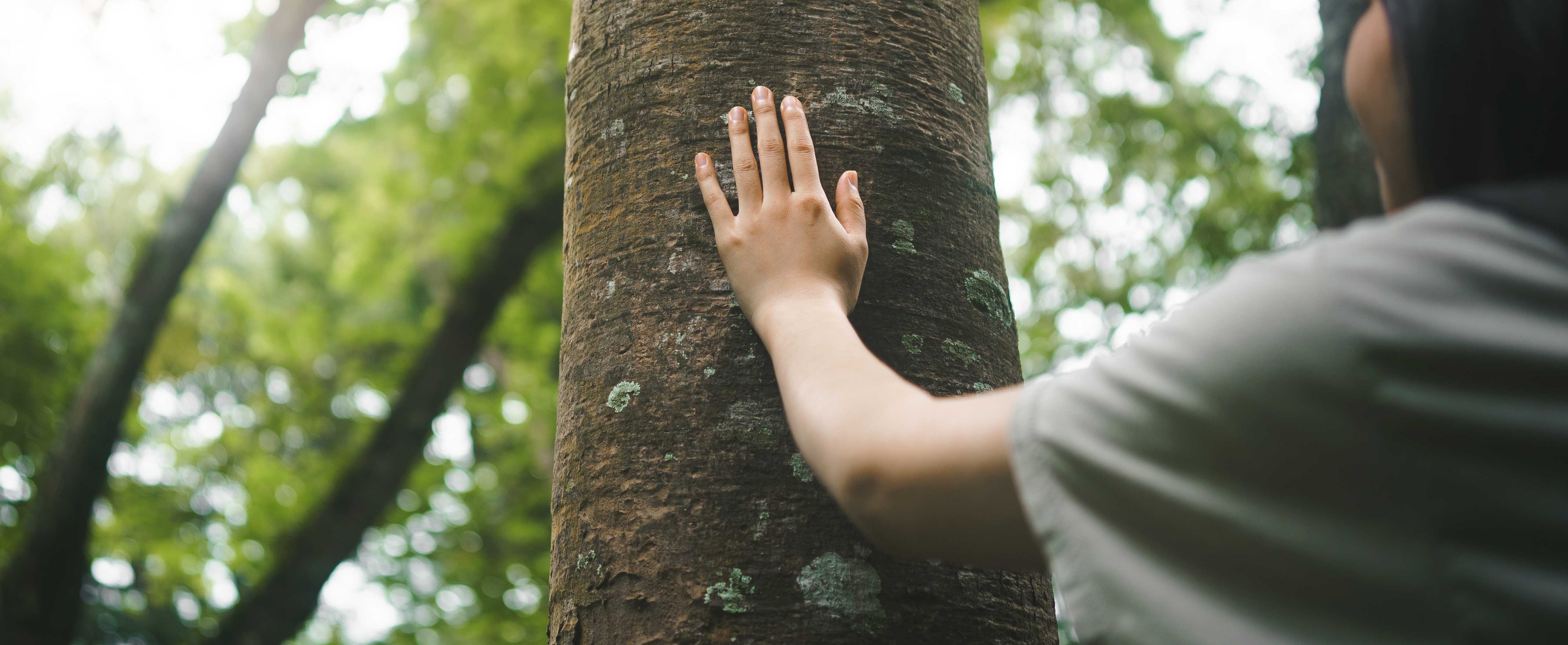 Sobriété environnementale